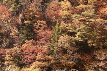 秋の山　御岳昇仙峡は甲府市の北部の渓谷。溪谷沿いの遊歩道からは花崗岩の断層や奇岩・奇石の絶景を見ることができる。