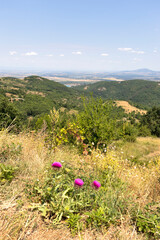Rhodope Mountains near village of Oreshets, Bulgaria