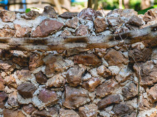 Background image of stone wall and dry branches