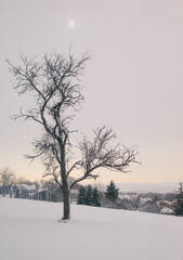 Fototapeta na wymiar paysage de campagne en hiver avec de la neige par un matin brumeux