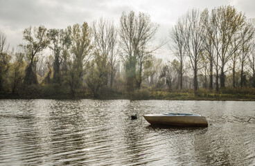 Novi Sad, Serbia - November 15. 2020: A forgotten fishing boat in the tributary of the Danube near Novi Sad, Serbia 