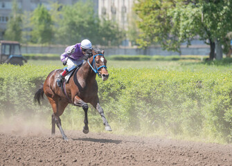  The rider skips on horse