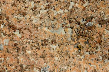 Mold concrete or stone texture background with orange and brown color. Natural backdrop
