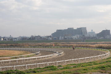 小向トレーニングセンター練習中の光景