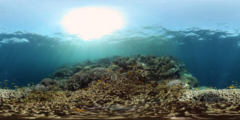 Underwater scene coral reef. Hard and soft corals, underwater landscape. Travel vacation concept. Philippines. Virtual Reality 360.