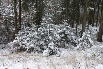 Schöne Winterlandschaft im Donau-Ries Kreis