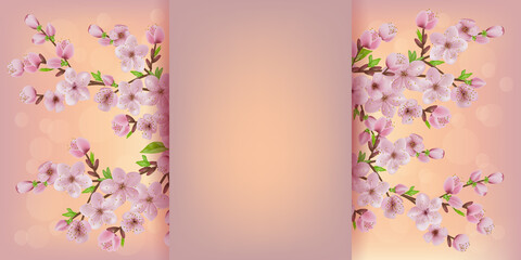 blooming cherry branch. japan sakura cherry branch with blooming flowers. Cherry blossoms floral...