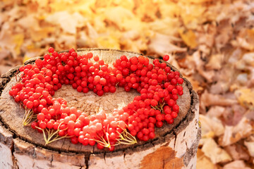  Heart of red berries on wooden background