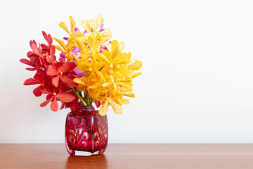 Colorful orchid flower in vase, selective focus. - 398872468