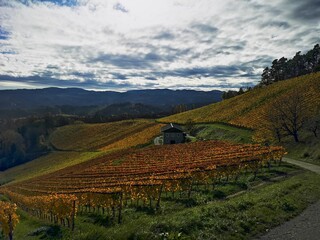Obraz premium Steiermark im Herbst - Südsteiermark