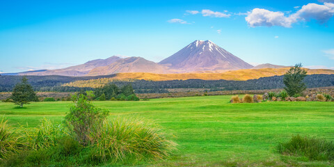 Obraz premium panorama of cone volcano Mount Ngauruhoe at sunrise in New Zealand