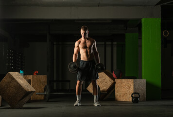 Young bodybuilder training dumbbell alternate biceps curl in home gym