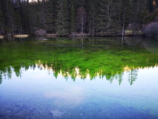 Grüner See Tragöß mit beeindruckender Spiegelung im Abendlicht