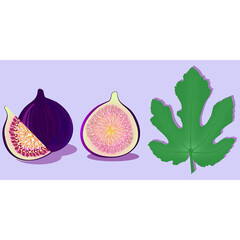 Set of fig fruits in different sections and fig leaf