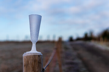 Frozen champagne glass left behind on a fence post after a party on new-year morning. Party leftover garbage in an icy wintery rural landscape after celebrating the new year. Glass against winter sky.