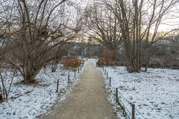 Snowy deserted city park in the cold winter