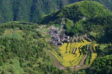 view from the mountain