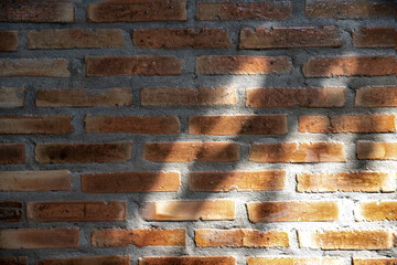 shadow of tree leaf and branch on orange antique brick wall  background