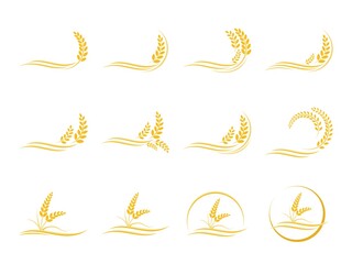 Agriculture wheat logo template and grain spikes set icons design