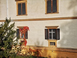Fototapeta na wymiar Schloss Eggenberg Graz im Herbst