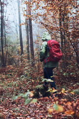 Woman with backpack wandering around a forest on autumn cold day. Back view of middle age active woman going along forest path actively spending time