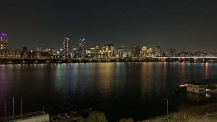 Obraz premium city skyline at night