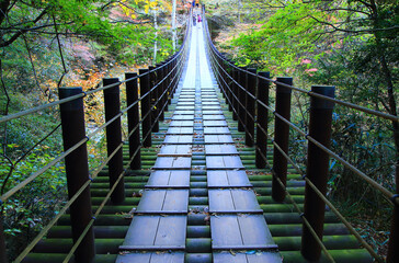 Obraz premium suspension bridge in autumn forest