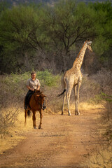 Blonde passes giraffe on track through bushes