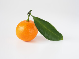 日本のみかんを白背景で