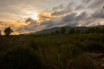 Beautiful landscape photography. Natural protected area. Into the wild with a beautiful sunset or sunrise.