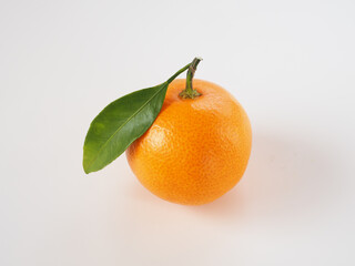 日本のみかんを白背景で