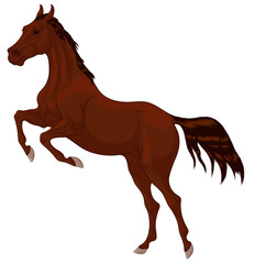 Fototapeta na wymiar Sorrel horse reared before jumping. Prancing stallion pricked up its ears and prepared to overcome an obstacle. Vector design element for equestrian goods.