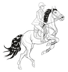 Performance at show jumping competitions. Horse reared and bent its front legs. Rider dressed in jacket and breeches sits on a stallion equipped with sport tack. Vector clip art for equestrian goods.