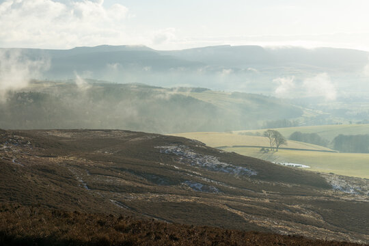 Northumberland Mist