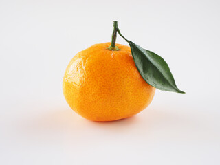 日本のみかんを白背景で