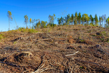 Clear-cutting of forest on the Hovdetoppen Hill, Gjøvik.