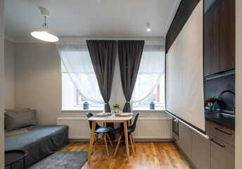 Contemporary interior of modern studio apartment. Kitchen set. Wooden table. Projector screen. Home cinema.