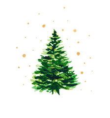 Green Christmas tree on a white background with gold stars. Watercolor drawing