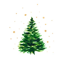 Grüner Weihnachtsbaum auf weißem Hintergrund mit goldenen Sternen. Aquarellzeichnung © SharlottaU