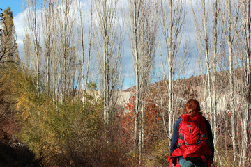 Woman walking in nature. Autumn.