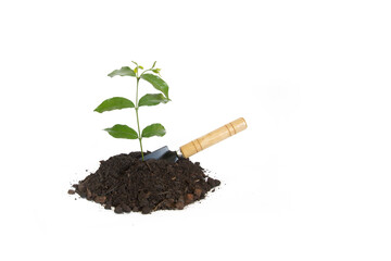 planting small plant with shovel on white background , ECO friendly concept