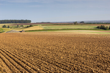 View across a green field with woodland in the distance
