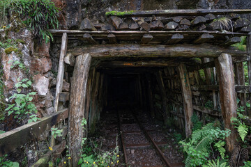 entrance of an abandoned mine. The environment is humid and there is vegetation. The tracks of the wagons are preserved