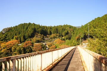 Fototapeta na wymiar Autumn view of Kiso River and the bridge in Gifu prefecture, Japan - 岐阜県 秋の木曽川 橋