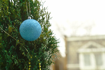  Christmas Ornament Hanging on Tree  Outdoors Close Up