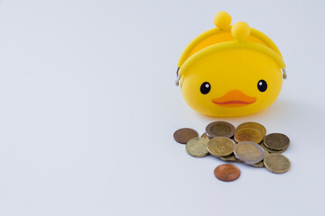 duckling wallet with trifle and banknotes for saving