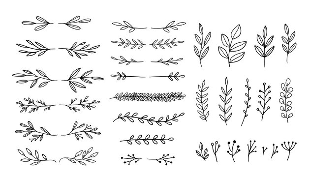 Vector dividers and laurels. Hand drawn botanical design elements. Borders, branches, leaves isolated.