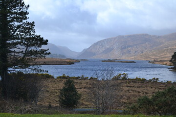 Irish Coast