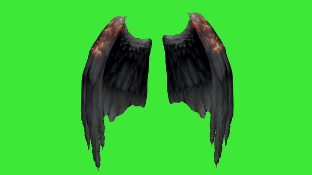 real angel feather wings fantasy on a green screen background suitable for movie