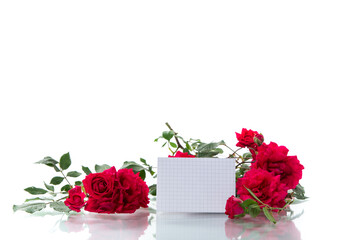 bouquet of beautiful red roses isolated on white